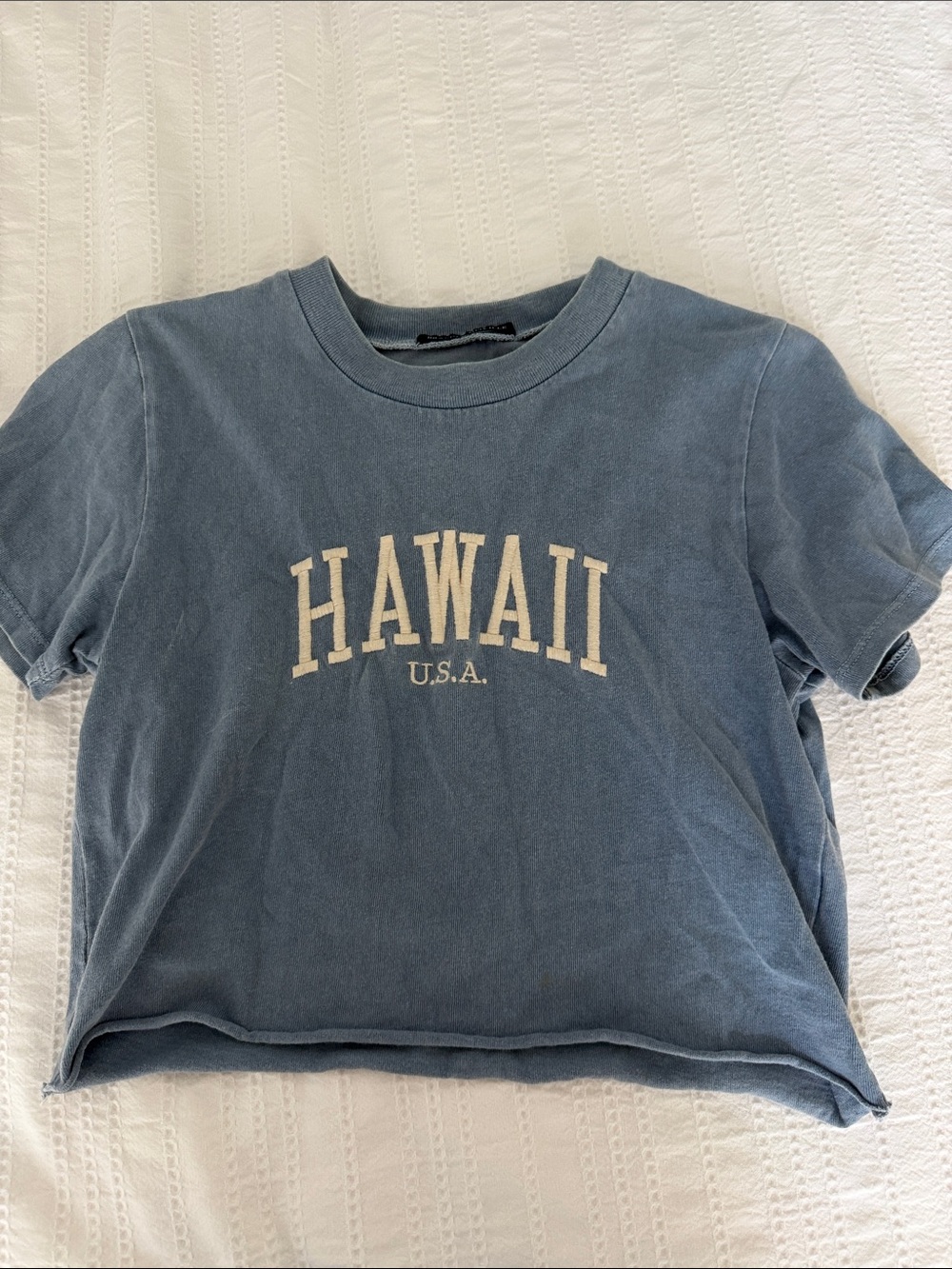 Brandy Melville Blue "HAWAII U.S.A." Short Sleeve Tee